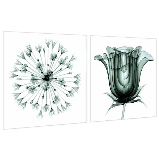 Empire Art Direct 24" x 24" African Bluebell Rose Veil Frameless Printed Tempered Glass Wall Art Set